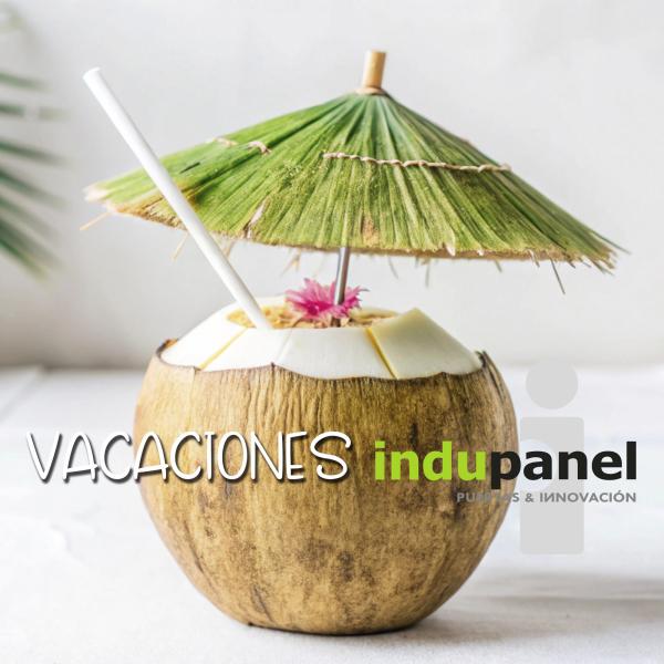 VACACIONES DE VERANO 2025